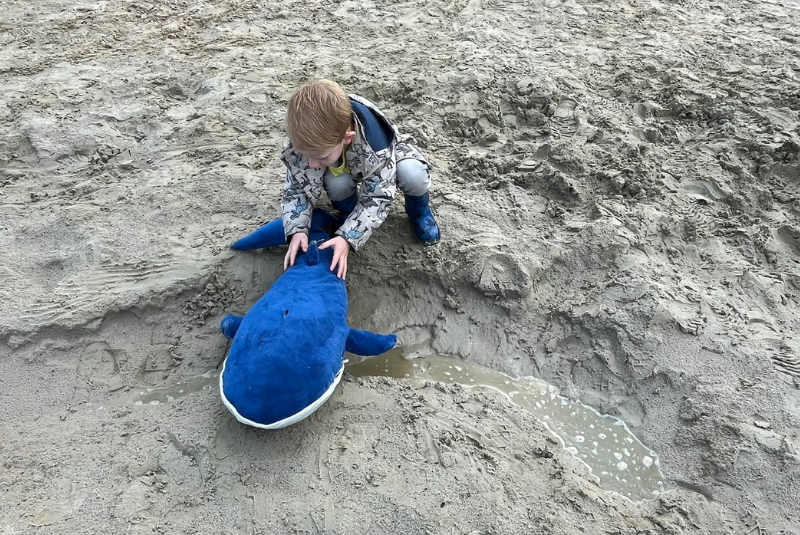 Woordenschat groeit door spel en belevenis op De Rietpluim